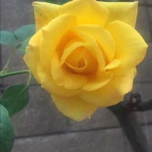 Meet your Posher, Eri